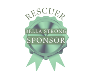 2026 Bella Strong Sponsors (18)